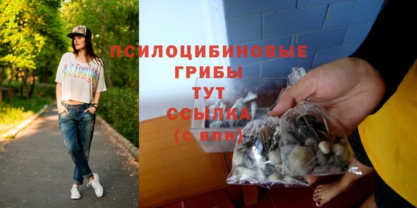 сатива Балабаново