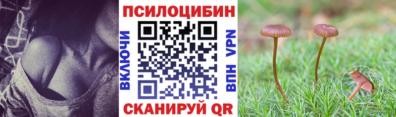 купить закладку  Нижние Серги  mega ССЫЛКА  Псилоцибиновые грибы Psilocybine cubensis 